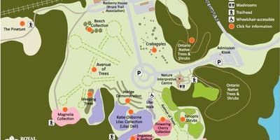 Карта Дендрарій РБГ 