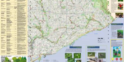 Карта парків і пішохідних маршрутів Сході Торонто
