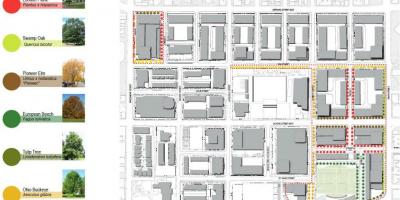 Карта план активізації фази Риджентс-Парк Торонто 3