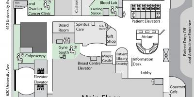 Карта Принцеса Маргарет онкологічний Центр головний підлогу Торонто 