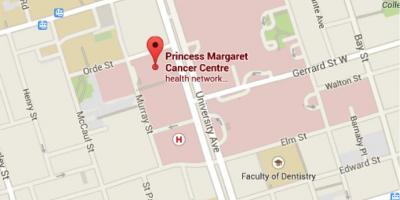 Карта Принцеса Маргарет онкологічний Центр Торонто
