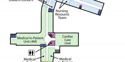 Карту медичному центрі Святого Йосипа в Торонто 4